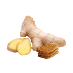 The_tondo_les_secrets_de_yoli