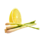 infusion_fipagrass_les_secrets_de_yoli
