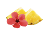 infusion_ndolo_les_secrets_de_yoli